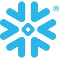 snowflake-bug-color-rgb_b