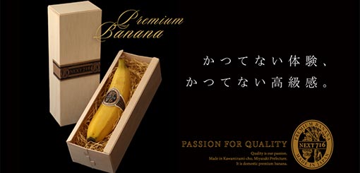 高品質な宮崎県産バナナのECサイト制作